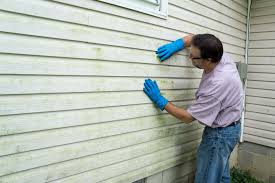 Best Siding Removal and Disposal  in Postville, IA